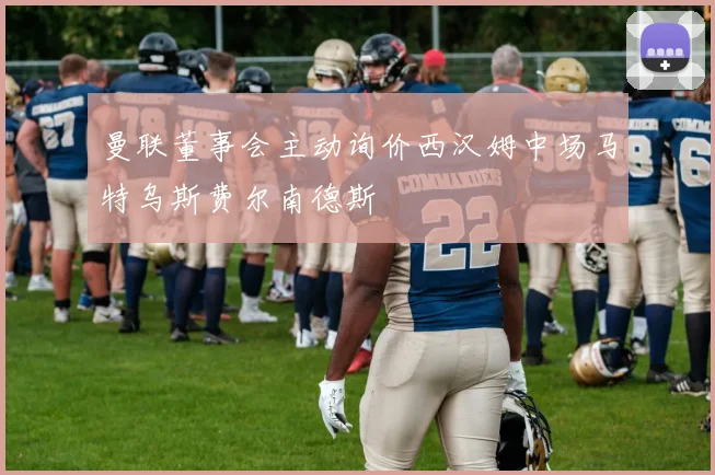 曼联董事会主动询价西汉姆中场马特乌斯费尔南德斯