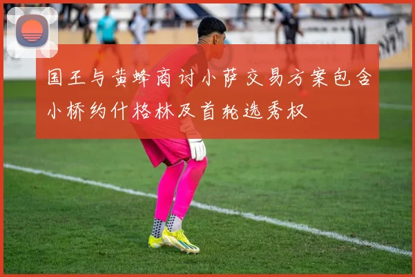 国王与黄蜂商讨小萨交易方案包含小桥约什格林及首轮选秀权
